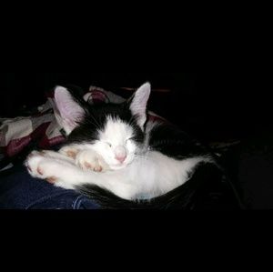 Meet your Posher, Beth